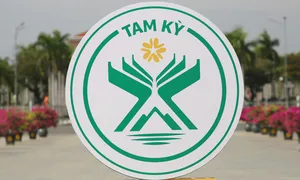 Tam Kỳ công bố logo